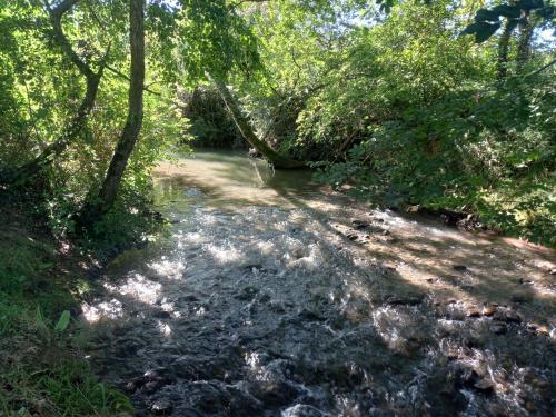 a stream of water with trees on the side at L'Oasis Des Pyrénées in Campuzan