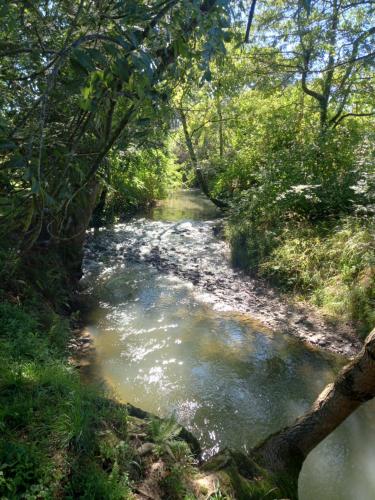 a stream of water with trees on the side at L'Oasis Des Pyrénées in Campuzan