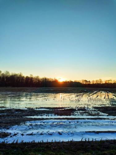 aivatedivated field with the sun setting in the horizon at Zen huisje in Turnhout