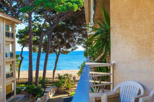 Tucan Planetcostadorada