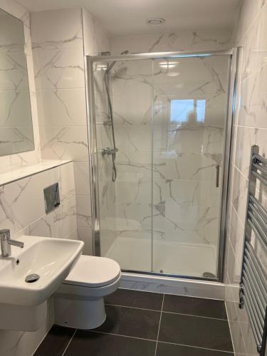 Un baño con ducha, inodoro y lavabo. en Spacious shared apartment with private Bathroom Dublin, en Lucan