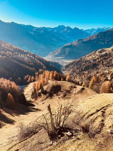 a view of a valley with mountains in the background at Zottlhoamat in Matrei in Osttirol