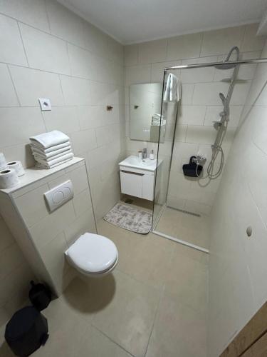 a white bathroom with a shower and a toilet at Apartmani Sun & Moon in Žepče
