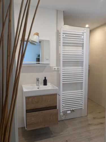 a bathroom with a white sink and a shower at Seenlandliebe Wiesethblick bis 3 Personen in Bechhofen