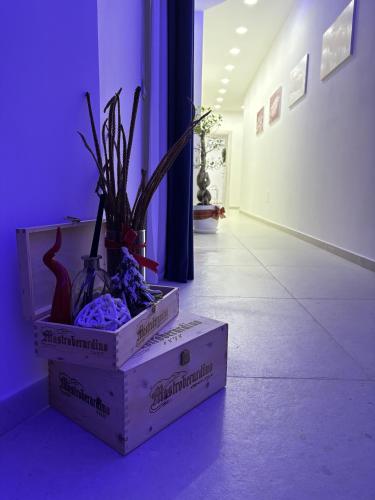 a room with a box with a plant in it at Le stanze di Vino Rosso in Nocera Superiore