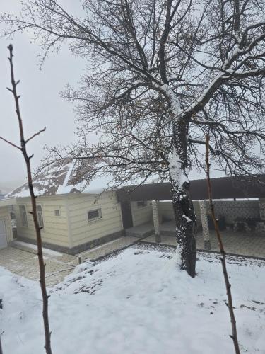 Mamuras Chimgan Mountain Guesthouse - Entire Dacha durante l'inverno