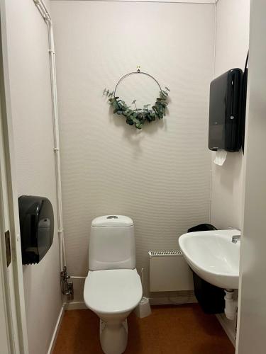 a bathroom with a toilet and a sink at Åsarna Skicenter in Åsarne