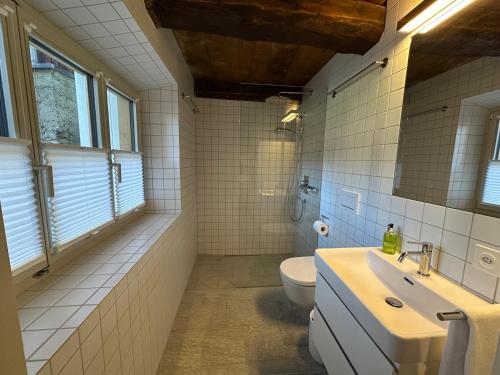a bathroom with a sink and a toilet in it at Chesa Unica - Historica in Zuoz