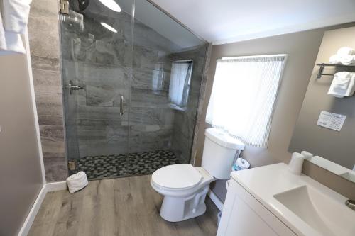 a bathroom with a shower and a toilet and a sink at Lakeside Resort in Watkins Glen