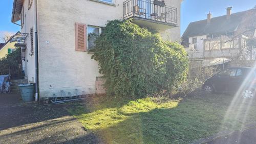 a ivy growing on the side of a house at SAUNA - MASSAGE -Bodensee-Cinema Feeling- Home Sharing - Parking - Küche in Radolfzell am Bodensee