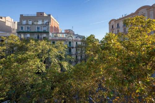 The Collection Barcelona - Plaza Urquinaona Cozy and comfortable