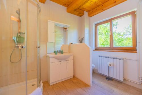 a bathroom with a shower and a sink and a toilet at Villa Hills in Janja Gora