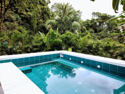 a blue swimming pool with trees in the background at Colibri Parque Tayrona Dentro del Parque Nacional Tayrona in El Zaino