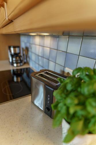 a toaster sitting on top of a counter in a kitchen at Landhaus Birgbichler - Apartments in Ramsau am Dachstein - inklusive SOMMERCARD! in Ramsau am Dachstein