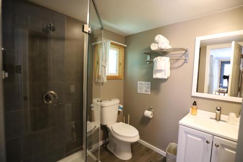 a bathroom with a shower and a toilet and a sink at Lakeside Resort in Watkins Glen