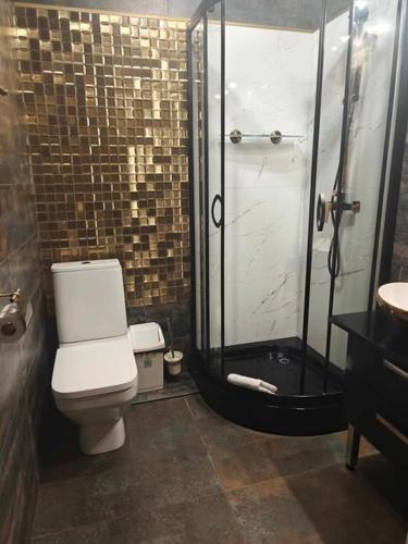 a bathroom with a toilet and a glass shower at Willa Rybacka in Krynica Morska