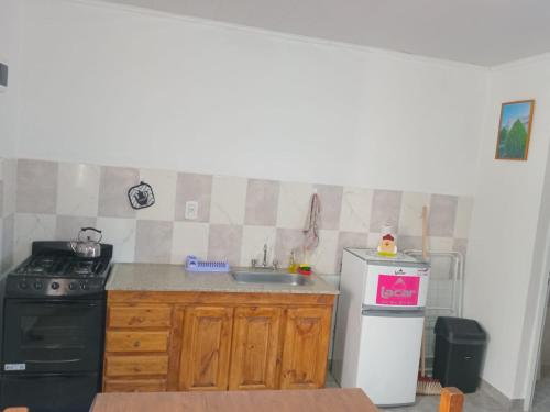 a kitchen with a sink and a stove at Departamentos Los dos Pinos in San José