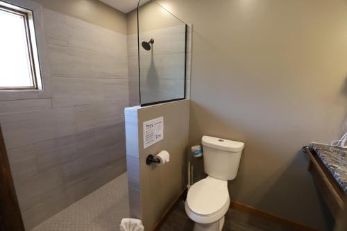 a bathroom with a toilet and a shower at Lakeside Resort in Watkins Glen