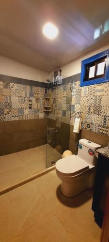 プエルト・ビエホにあるAlalunga Casasのトイレとシャワー付きのバスルーム