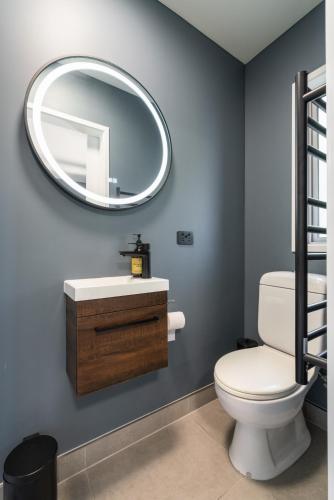 a bathroom with a white toilet and a mirror at Spacious Home Near CBD SPA Pool Parking 3BR in Auckland