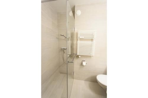 サンモリッツにあるApartment Skyline 110のバスルーム(ガラス張りのシャワー、トイレ付)