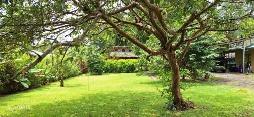 Jardín al aire libre en Cabaña Laurel