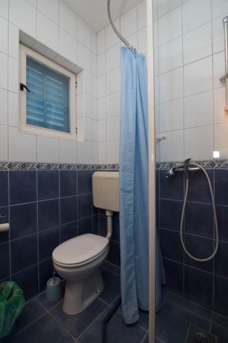 a bathroom with a toilet and a shower at Apartments Jadranka in Sućuraj