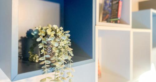 un vase avec une plante assise dans une armoire dans l'établissement AC - WIFI - Perfect for exploring Avignon on foot!, à Avignon