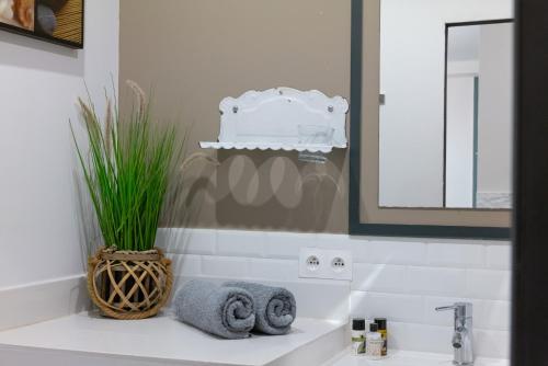 Bilik mandi di Appartement classé 3 étoiles - Canohès