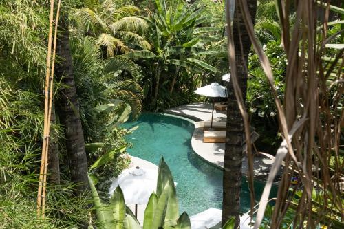 a swimming pool in the middle of a tropical garden at TheSoulHouseBali in Canggu