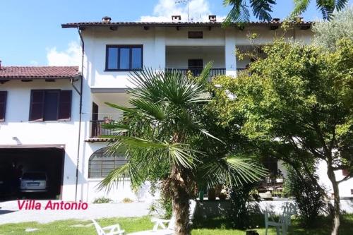 a palm tree in front of a building at Alloggio grazioso con vista giardino e parcheggio in Biella