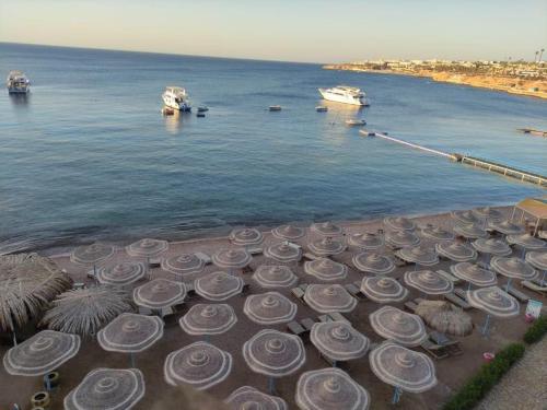 a group of hats sitting on the sand near the water at sharks bay oasis aqua park in Sharm El Sheikh