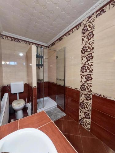 a bathroom with a toilet and a shower and a sink at Akácvirág Airport Bogi Apartman in Debrecen