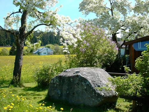 a rock sitting in the grass next to a tree at Haus Ingrid in Schluchsee