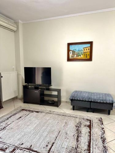 Bakopoulos resort Ένα Όμορφο Διαμέρισμα στα Τρίκαλα