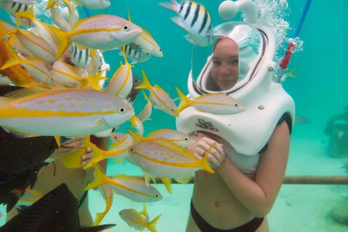 a woman in an underwater tank with fish at Rooi Koochi 27D in Savaneta