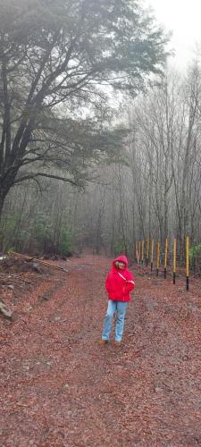 a person in a red jacket standing in the woods at Cafeteria y Cabañas Eluney - Cohigue in Pucón