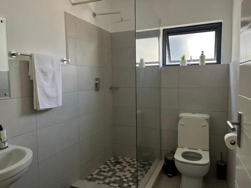 une salle de bain avec toilettes et lavabo dans l'établissement Ambience, à Gaborone