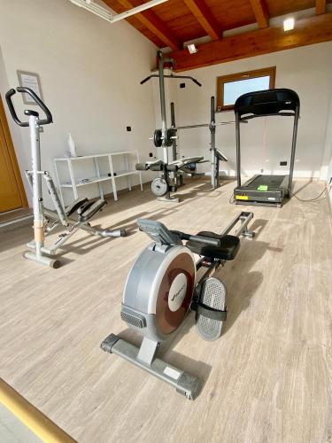 a gym with several exercise equipment in a room at Villa Giulia - Argentera in Peveragno