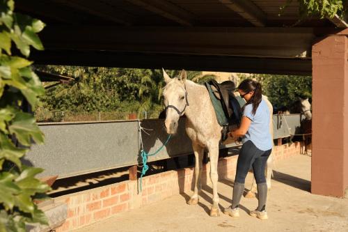 a woman is standing next to a white horse at Cal Robusto, Apartament in Masía with horses in Siurana