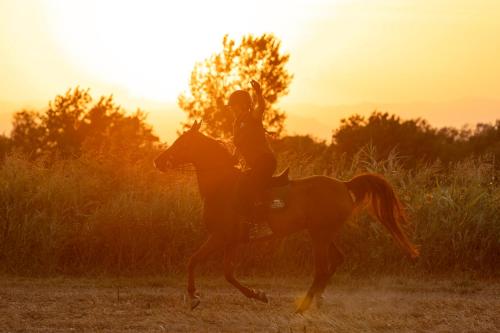 a woman riding a horse in the sunset at Cal Robusto, Apartament in Masía with horses in Siurana