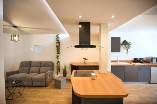 un salon avec un canapé et une cuisine dans l'établissement Appartement baignoire balnéo, à Annecy