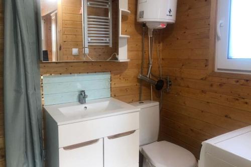 a bathroom with a sink and a toilet at Domek na wsi - BALYSOWKA in Bielawy
