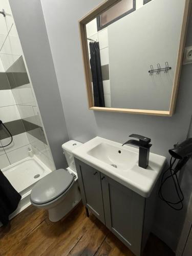 une salle de bains avec toilettes, lavabo et miroir dans l'établissement Opale 1, à Vichy
