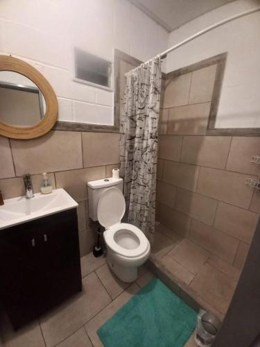 a bathroom with a toilet and a shower and a sink at Complejo vacacional Piedra&Sol in Trapiche