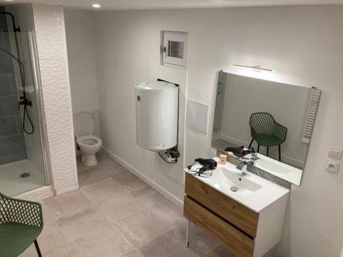 a bathroom with a sink and a toilet and a mirror at A3 Bel appartement lumineux au Rdc in Évaux-les-Bains