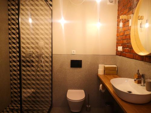 a bathroom with a sink and a toilet and a mirror at Klimatyczne pokoje na Ligonia in Turza Śląska
