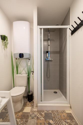 une salle de bain avec une douche avec des toilettes et un lavabo dans l'établissement Le Boréal - Studio Confort Lit Queen Size, à Mazamet