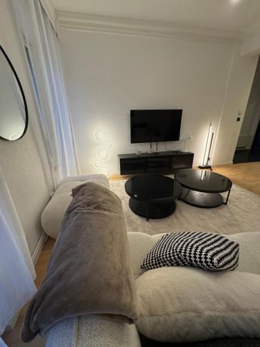 un salon avec un canapé et une télévision à écran plat dans l'établissement Boulevard des Belges, Cœur du sixième, à Lyon