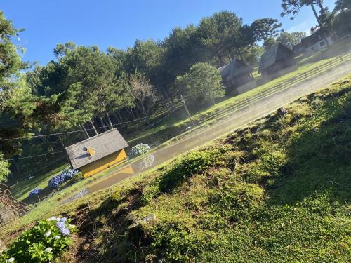 Taman di luar Cabanas em Canela - Leão da Tribo de Judá